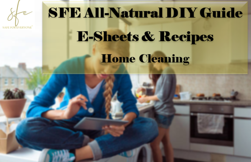 DIY SFE FREE E-GUIDE CLEANING